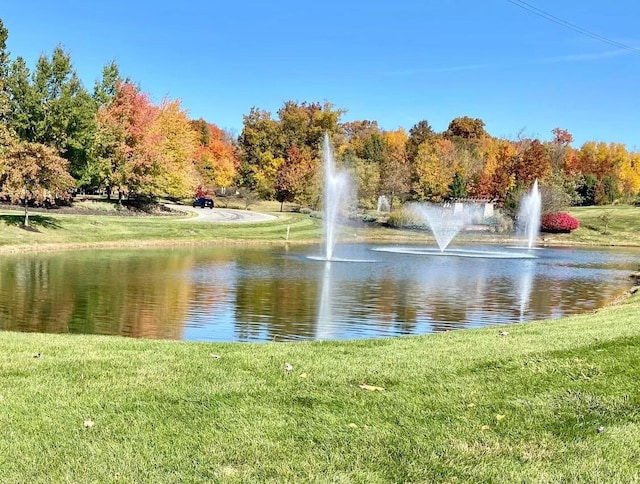 8886 Winemack Ln, Dublin, OH 43016 - photo 21