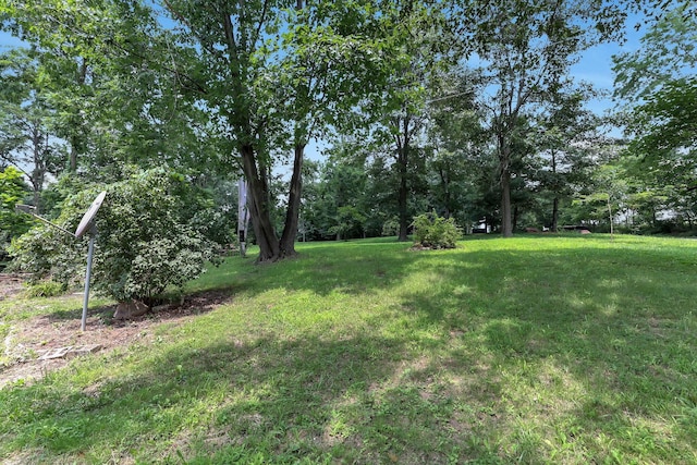 26199 Jackson Rd, Circleville, OH 43113 - photo 26