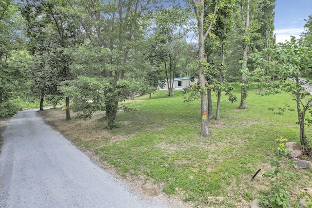26199 Jackson Rd, Circleville, OH 43113 - photo 30