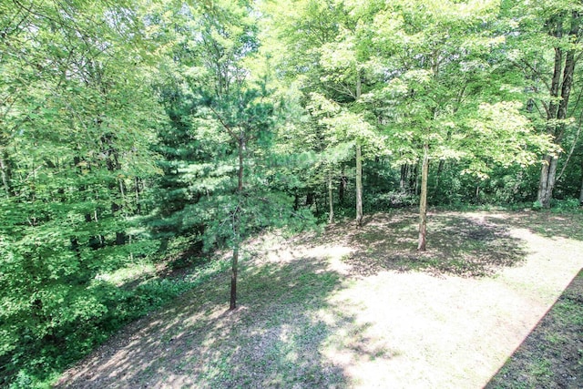 40721 Township Road 467, Woodsfield, OH 43793 - photo 33