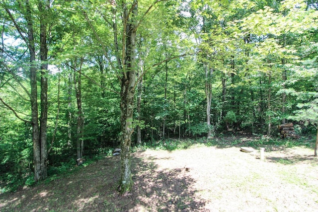 40721 Township Road 467, Woodsfield, OH 43793 - photo 34