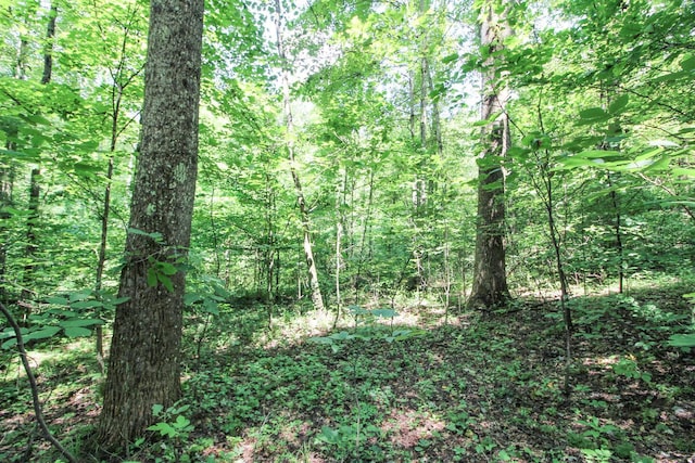 40721 Township Road 467, Woodsfield, OH 43793 - photo 40