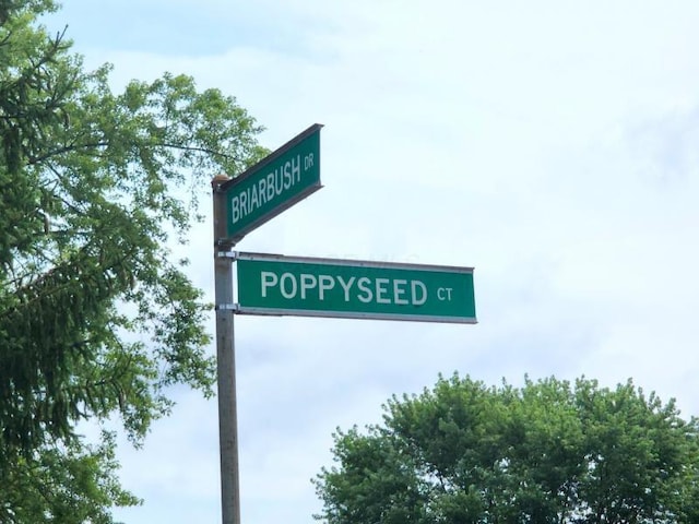 3967 Poppyseed Ct, Columbus, OH 43207 - photo 4