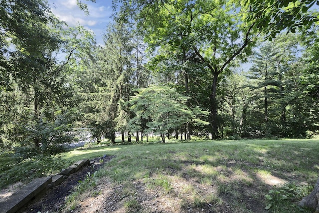 295 Taylor Blair Rd, West Jefferson, OH 43162 - photo 7
