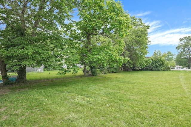 66-64 Eaton St, Delaware, OH 43015 - photo 7