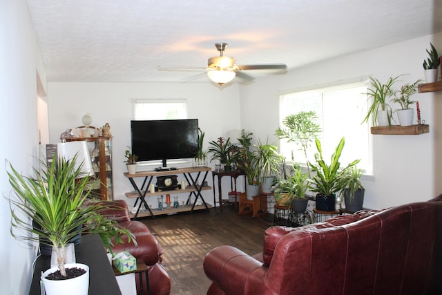 11954 16th Rd SW, Stoutsville, OH 43154 - photo 40