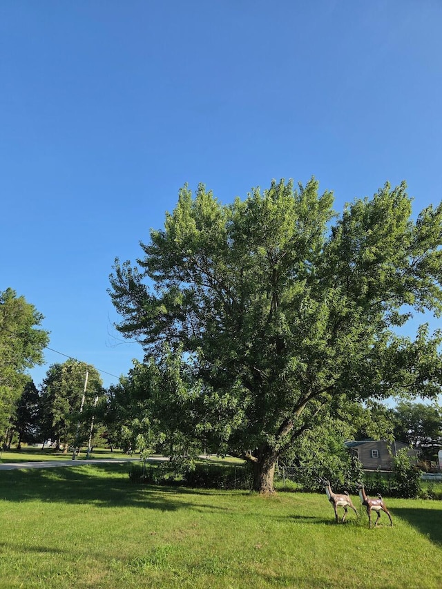 1701 Prospect Upper Sandusky Rd N, Marion, OH 43302 - photo 44