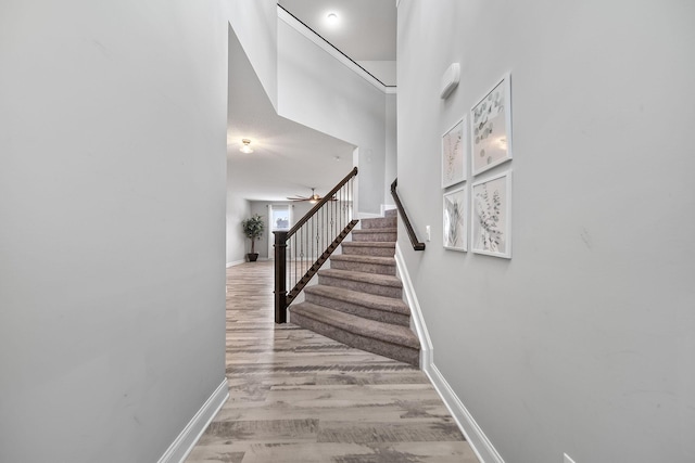 186 Mannaseh Dr W, Granville, OH 43023 - photo 5