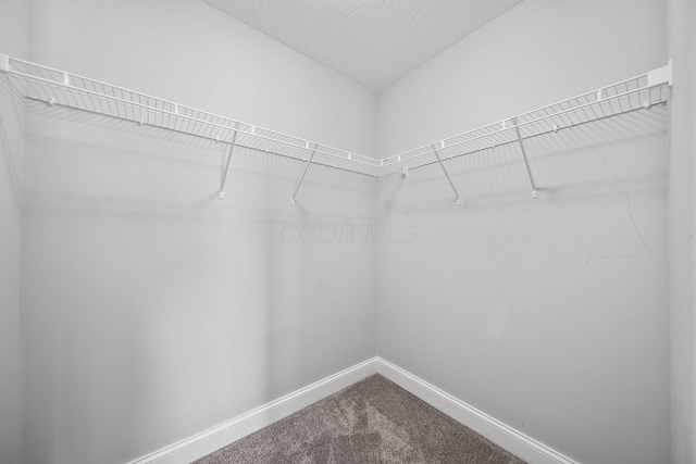186 Mannaseh Dr W, Granville, OH 43023 - photo 47