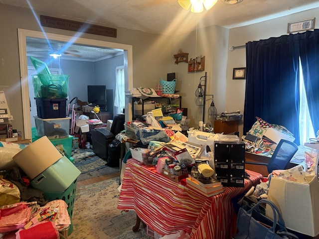 893 York St, Marion, OH 43302 - photo 4