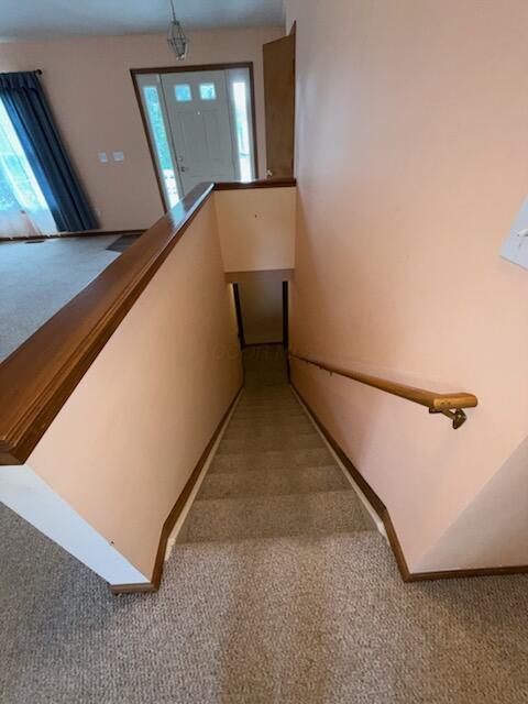 5550 Stevens Dr, Orient, OH 43146 - photo 28