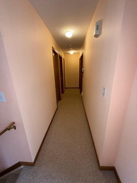 5550 Stevens Dr, Orient, OH 43146 - photo 29