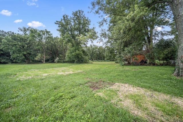 168 Whetstone River Rd N, Caledonia, OH 43314 - photo 32