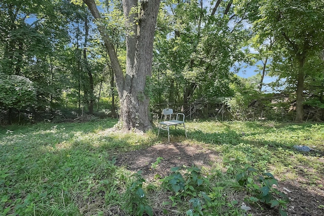 2585 Perdue Ave, Columbus, OH 43211 - photo 24