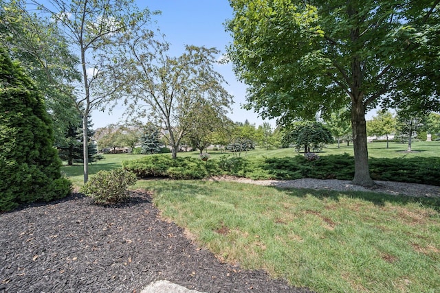 10104 Juliana Cir, Powell, OH 43065 - photo 67