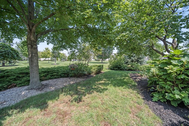 10104 Juliana Cir, Powell, OH 43065 - photo 68