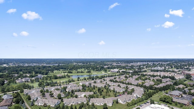 10104 Juliana Cir, Powell, OH 43065 - photo 74