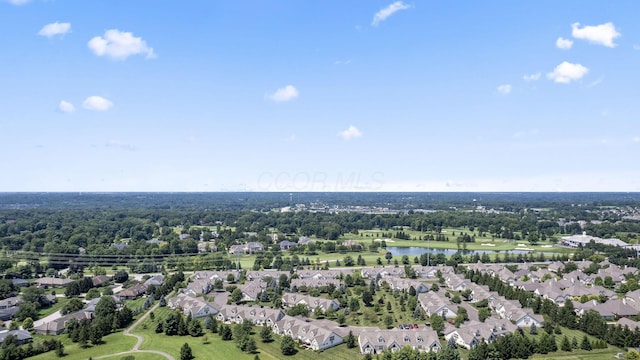 10104 Juliana Cir, Powell, OH 43065 - photo 75
