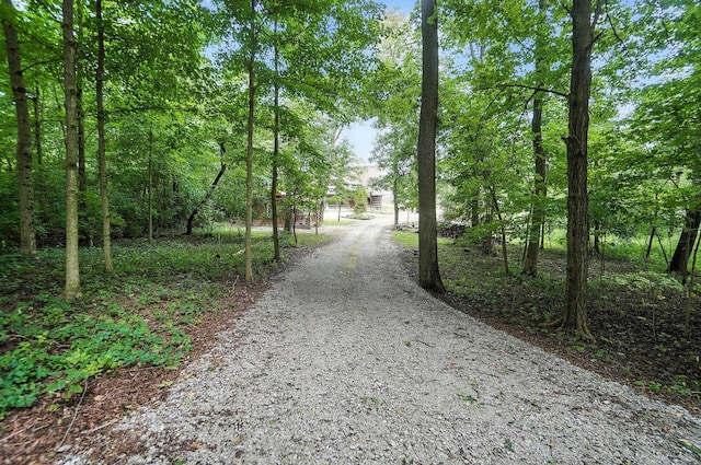 4142 Kyle Rd, Cedarville, OH 45314 - photo 8
