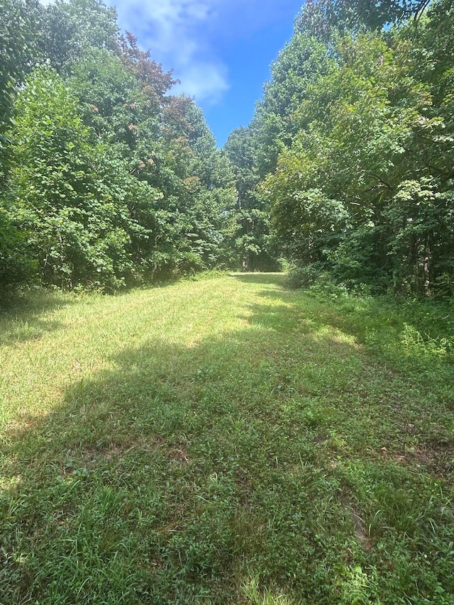 3272 Big Pete Rd Unit A, Franklin Furnace, OH 45629 - photo 35