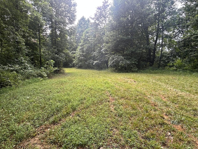 3272 Big Pete Rd Unit A, Franklin Furnace, OH 45629 - photo 37