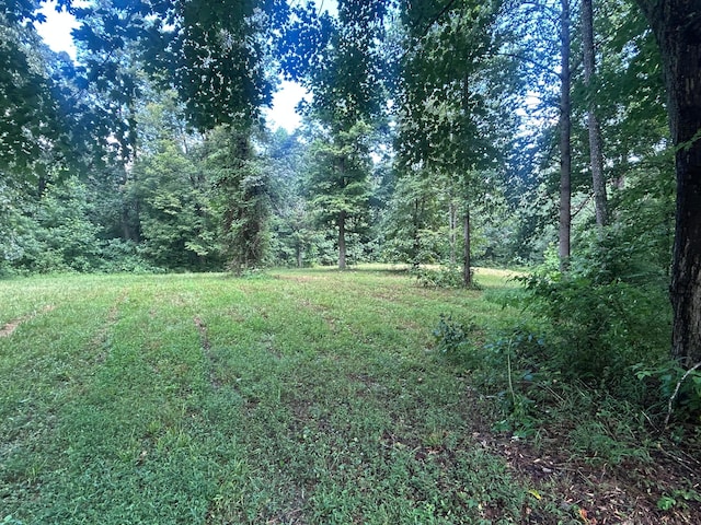 3272 Big Pete Rd Unit A, Franklin Furnace, OH 45629 - photo 38