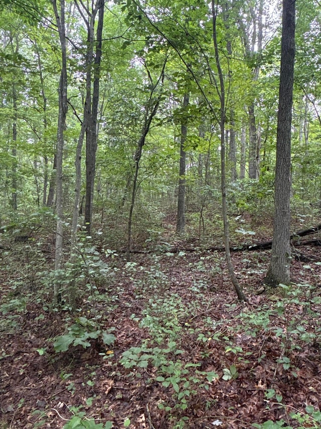 3272 Big Pete Rd Unit A, Franklin Furnace, OH 45629 - photo 44