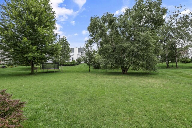 7631 Pleasant Colony Ct, Lewis Center, OH 43035 - photo 37