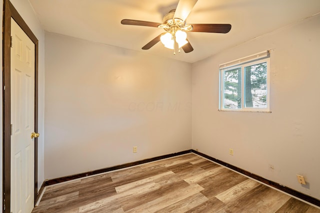 960 Ferndale Pl, Columbus, OH 43209 - photo 6