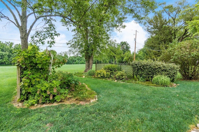 4466 Anglebrook Dr, Grove City, OH 43123 - photo 4