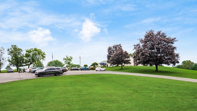 206 Freeman Memorial Dr, Hebron, OH 43025 - photo 38