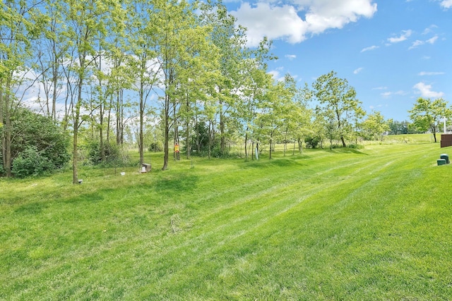 113 Buttonbush Pl, Etna, OH 43062 - photo 37