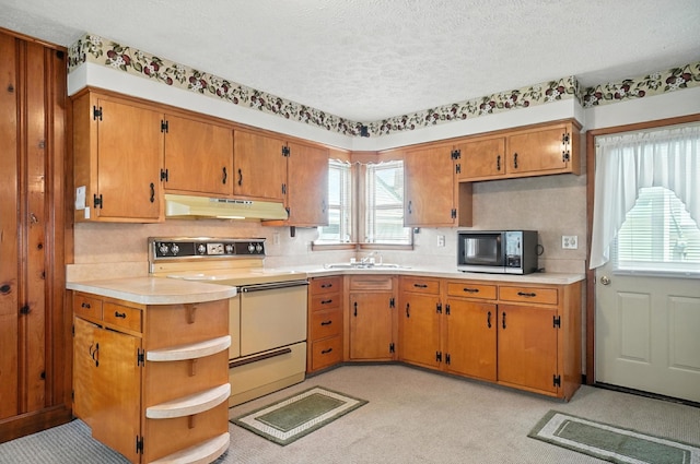 117 S Basil St, Baltimore, OH 43105 - photo 21