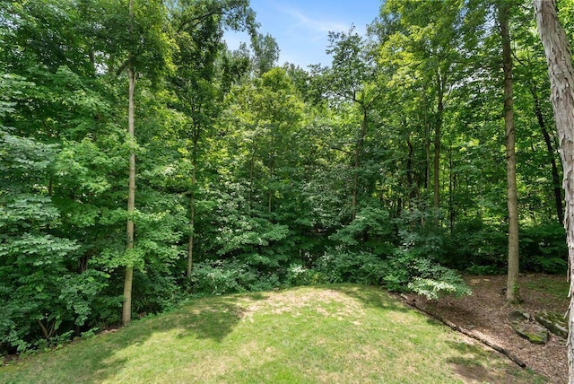 123 Hawthorn Blvd, Delaware, OH 43015 - photo 67