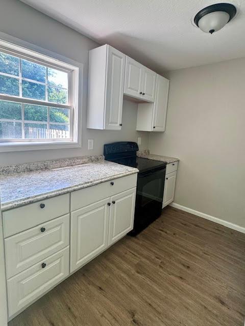 539 E Union St, Circleville, OH 43113 - photo 4