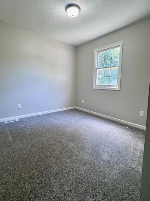 539 E Union St, Circleville, OH 43113 - photo 6