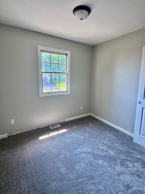 539 E Union St, Circleville, OH 43113 - photo 7