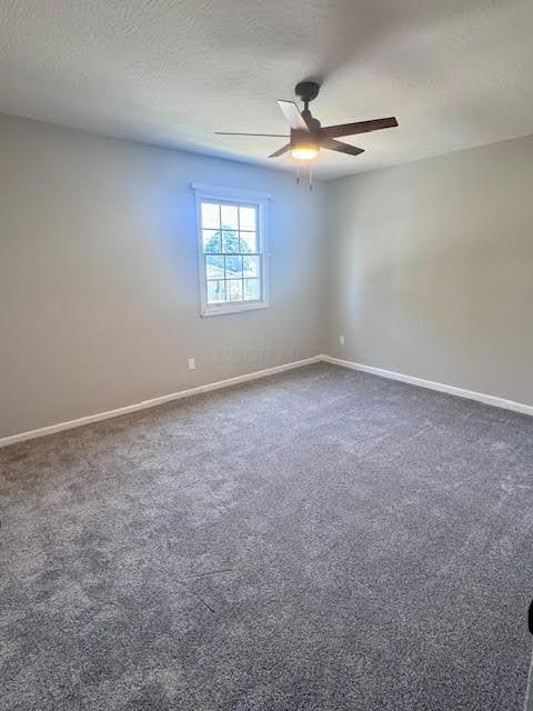 539 E Union St, Circleville, OH 43113 - photo 8