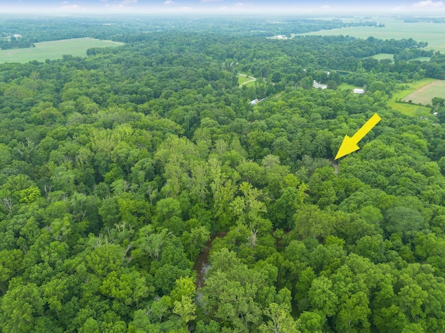 8622 Lott Rd, Marengo, OH 43334 - photo 69