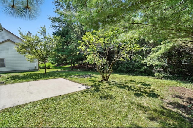121 Wicklow Dr, Granville, OH 43023 - photo 43
