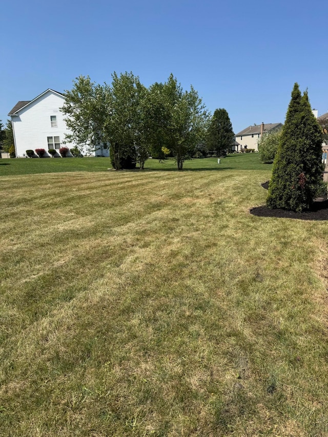 2254 Omaha Pl, Lewis Center, OH 43035 - photo 2