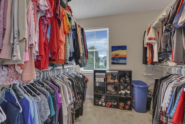 312 Evergreen Cir, Pickerington, OH 43147 - photo 24