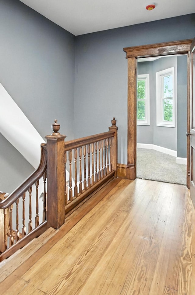 313 Oakwood Ave, Marietta, OH 45750 - photo 25