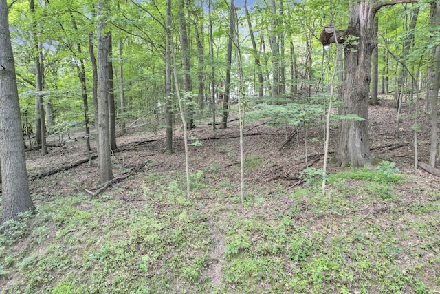 0 Philipps Rd, Granville, OH 43023 - photo 16
