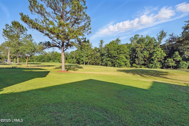 27 Normandy Ave, Bluffton, SC 29910 - view of green lawn with view of wooded area