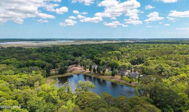 3 Alumni Rd, Beaufort, SC 29907 - drone / aerial view of a heavily wooded area and a nearby body of water