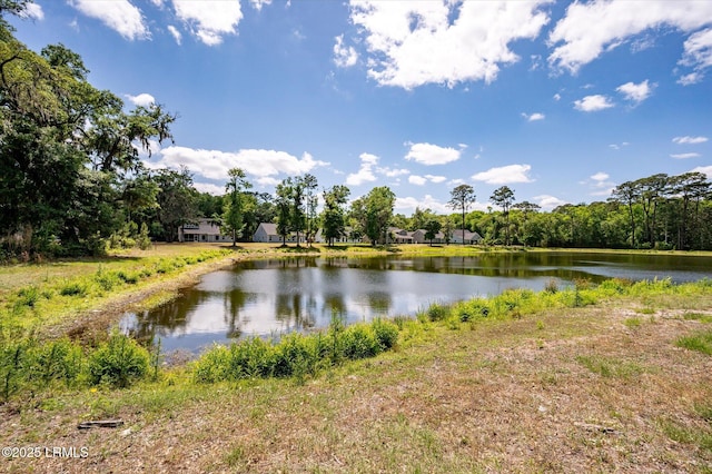 3 Alumni Rd, Beaufort, SC 29907 - water view