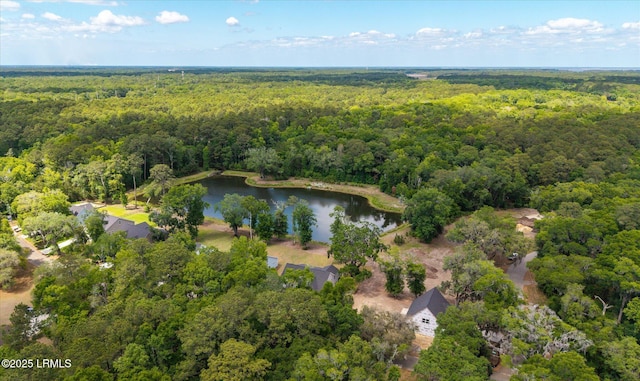 3 Alumni Rd, Beaufort, SC 29907 - view of property location with a forest and a nearby body of water
