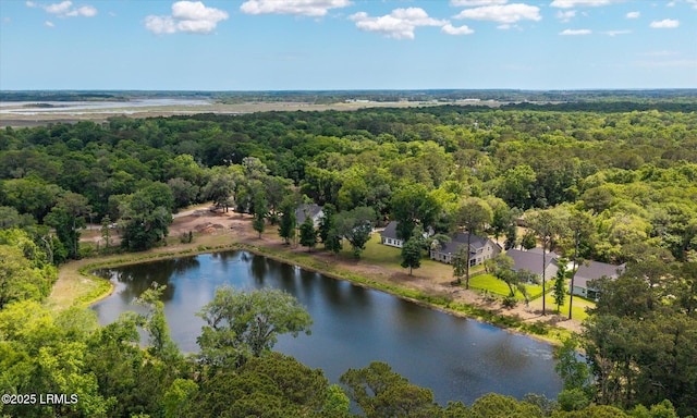 3 Alumni Rd, Beaufort, SC 29907 - bird's eye view of a heavily wooded area and a nearby body of water