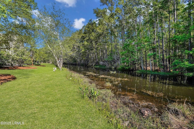 1980 Abbey Glen Way Unit 1980, Hardeeville, SC 29927 - view of yard